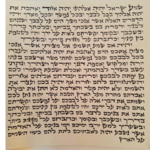קלף למזוזה - גודל 12 נוסח בית יוסף