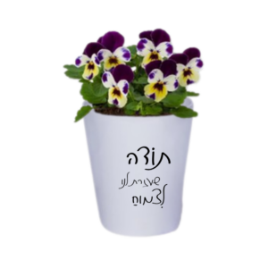 עציץ קרמיקה בעיצוב אישי